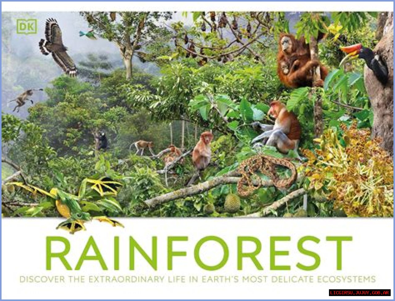 Discover The Extraordinary: Leo Latella's Unforgettable Creations